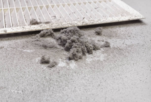 Best HVAC Maintenance and Cleaning  in Becker, MN