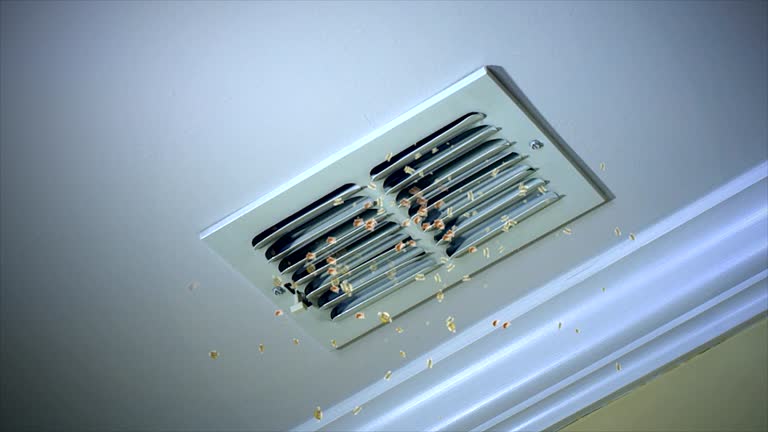 Best Air Vent Cleaning Services  in Becker, MN