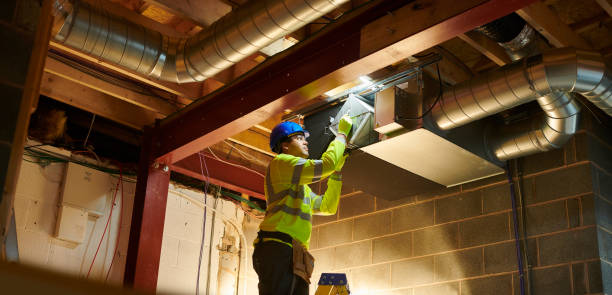 Best Air Duct Mold Removal  in Becker, MN
